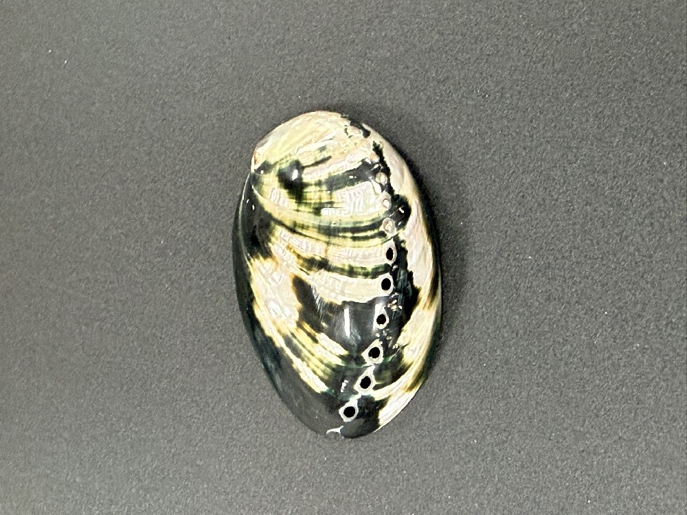 Z0242