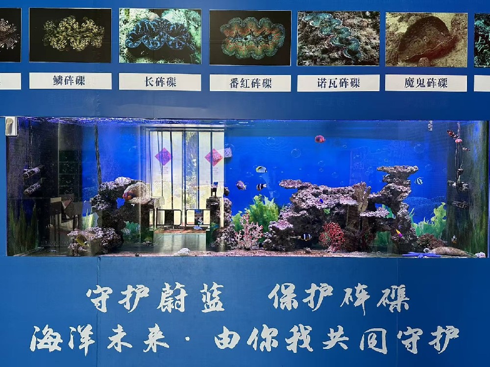探秘海洋之心  邂逅贝壳传奇