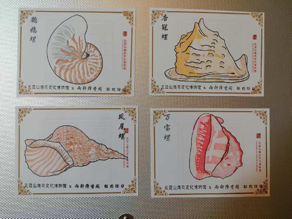 快来打卡四大名螺！！！