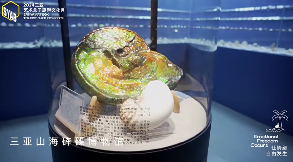 2024三亚市美术馆联盟联展宣传片